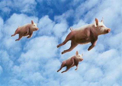 When Pigs Fly Betsson